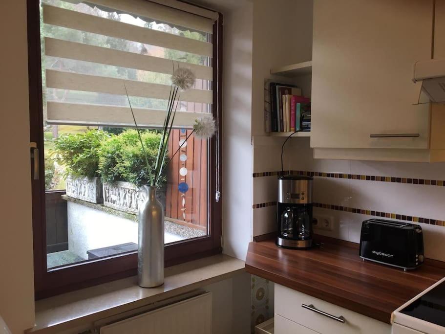 Wohnung Direkt Am Tegernsee Mit Xl-Terrasse Gmund am Tegernsee Zewnętrze zdjęcie